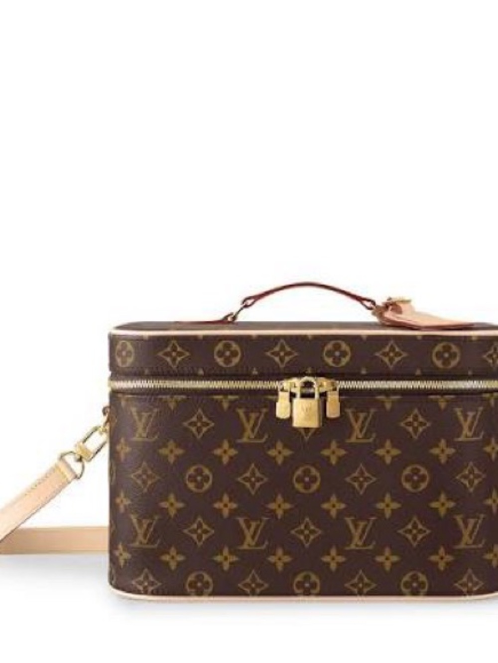 Louis Vuitton Monogram Canvas Vanity Case in Brown and Natural Vachetta